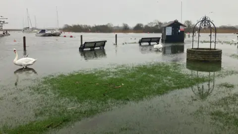 BBC Water at a quay has crept up onto the shore, past benches and a shed. Two swans are wading in the water where a path presumably can usually be seen. Boats are in the distance.
